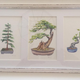Painting of my dad’s plants by a family friend